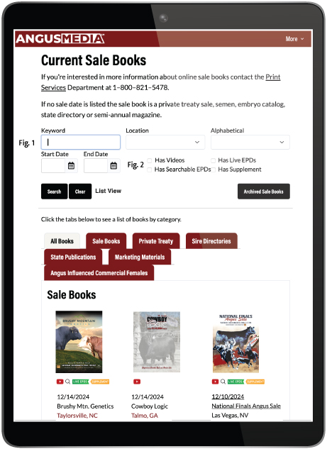 iPad mockup