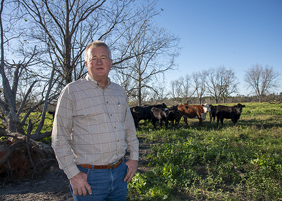 Parrish Akins says Hurricane Helene created complications for managing both livestock and beef enterprises.