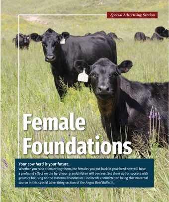 FF cover