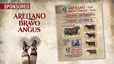 Arellano
