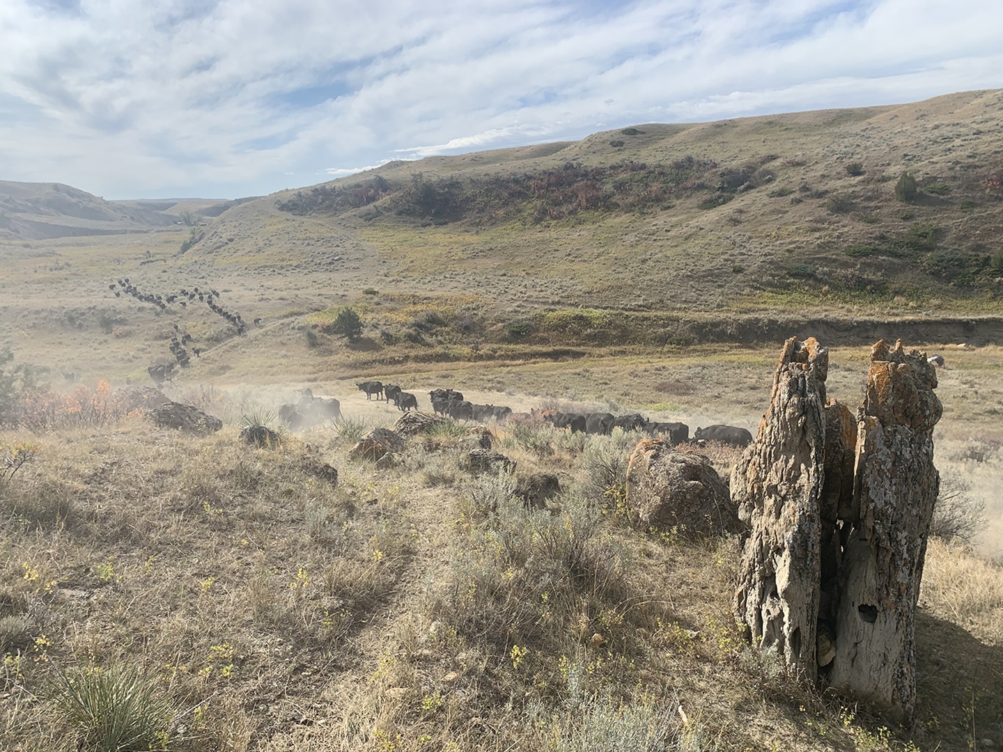 Hilltop landscape