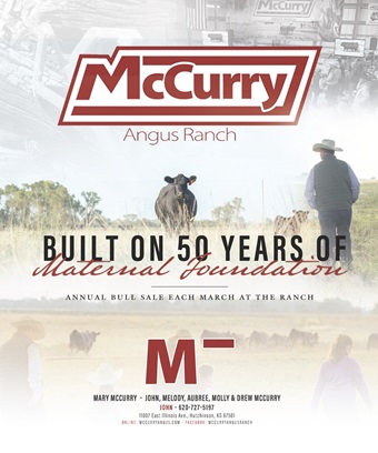 McCurry Ad