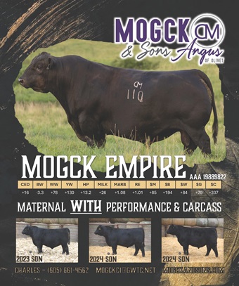 Mogck-Sons-ad