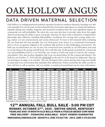Oak-Hollow-ad