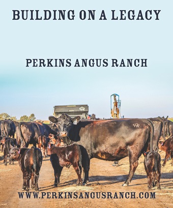 Perkins ad