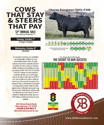 RA Brown sale flyer