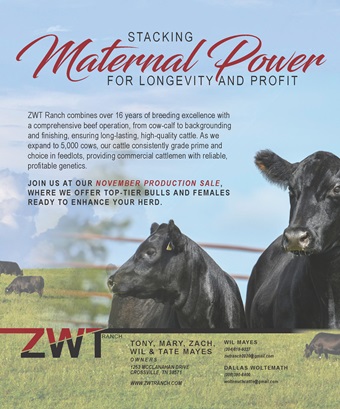 ZWT