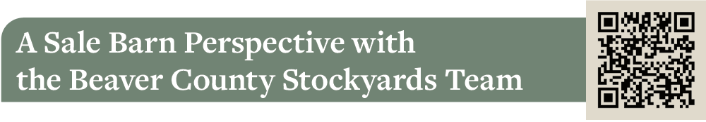 A Sale Barn Perspective with the Beaver County Stockyards Team