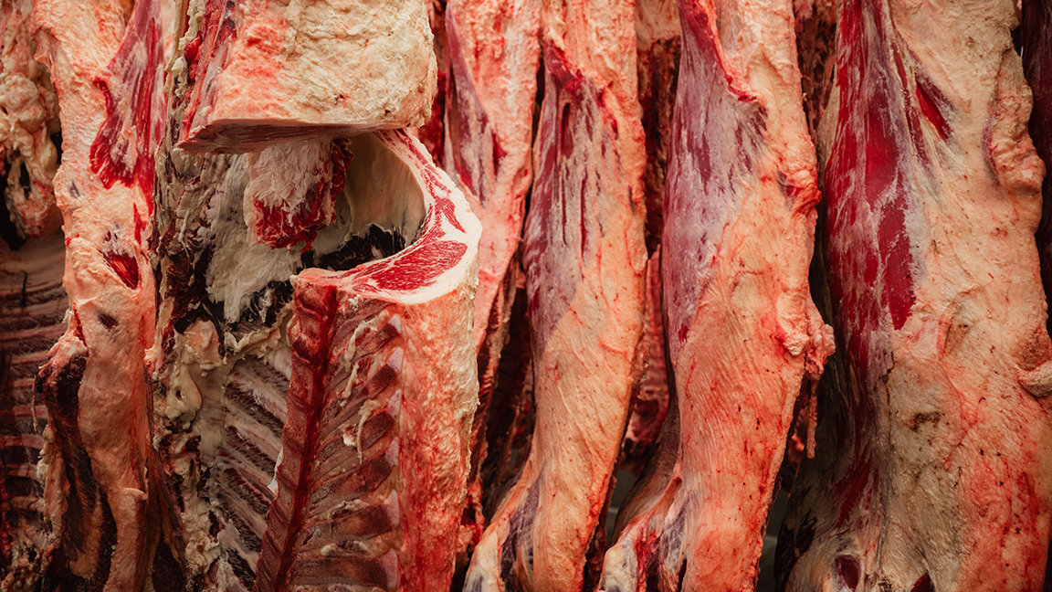 H Red meat yield, or the percentage of saleable beef from a carcass, has taken the main stage in an era of record-low cattle numbers and longer feedyard stays for feeder cattle.