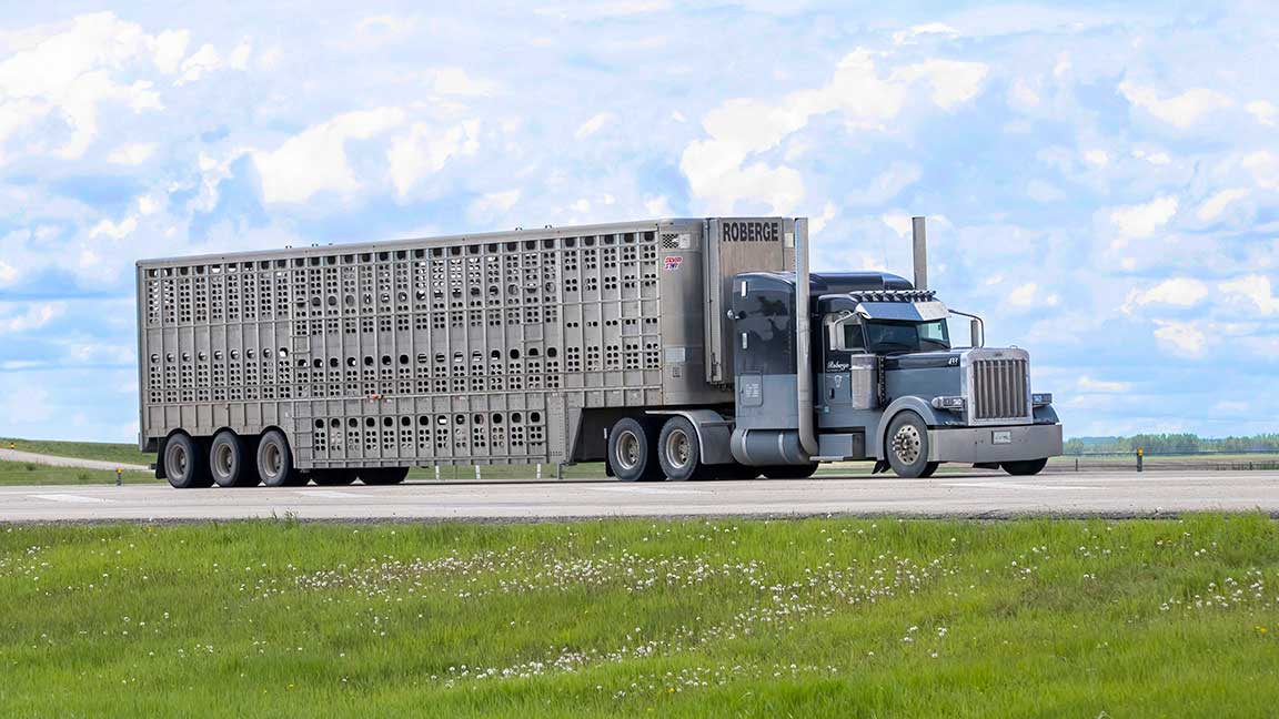 semi truck