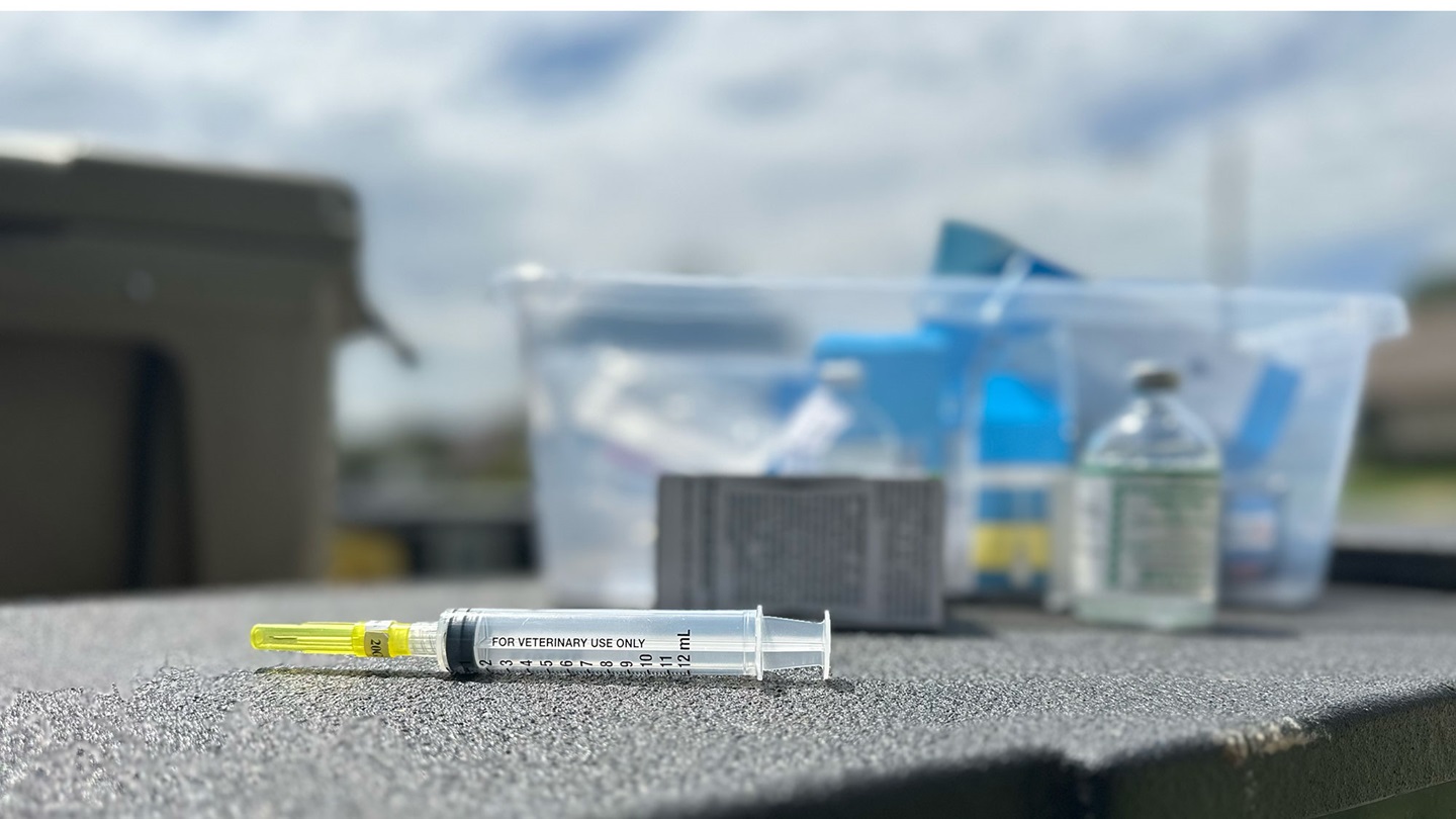 Syringe and medicine