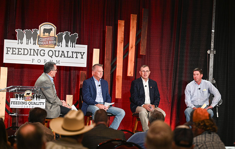 FQF panel