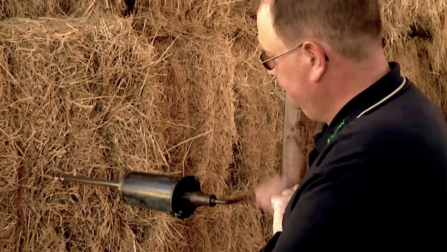 hay sampling