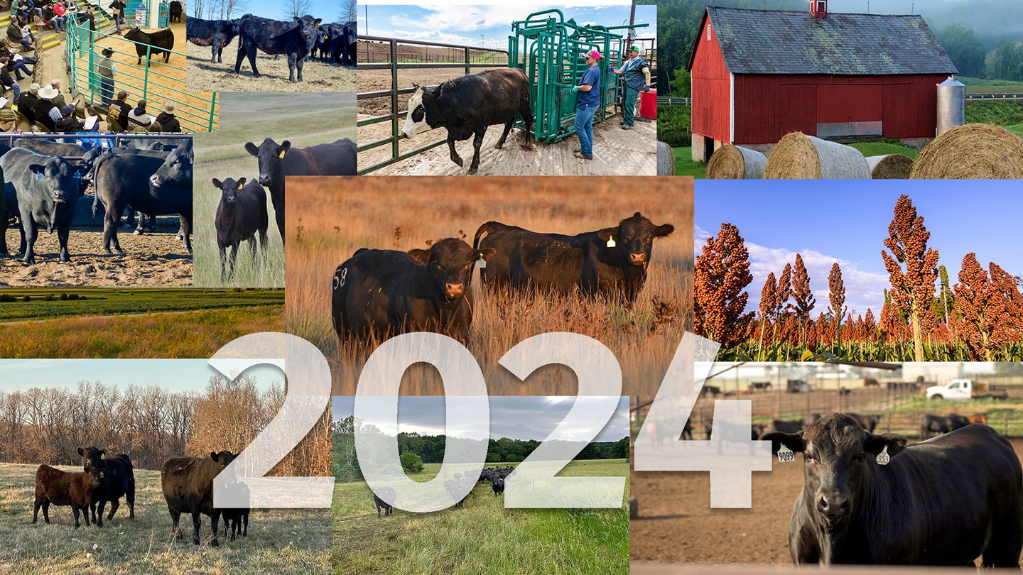 2024