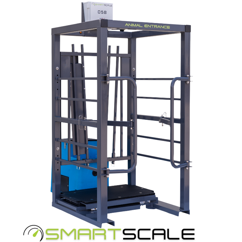 Smart scale