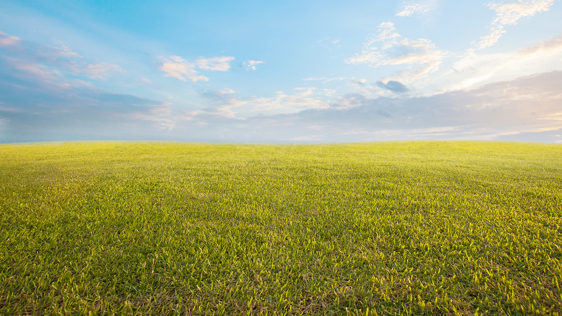 pasture