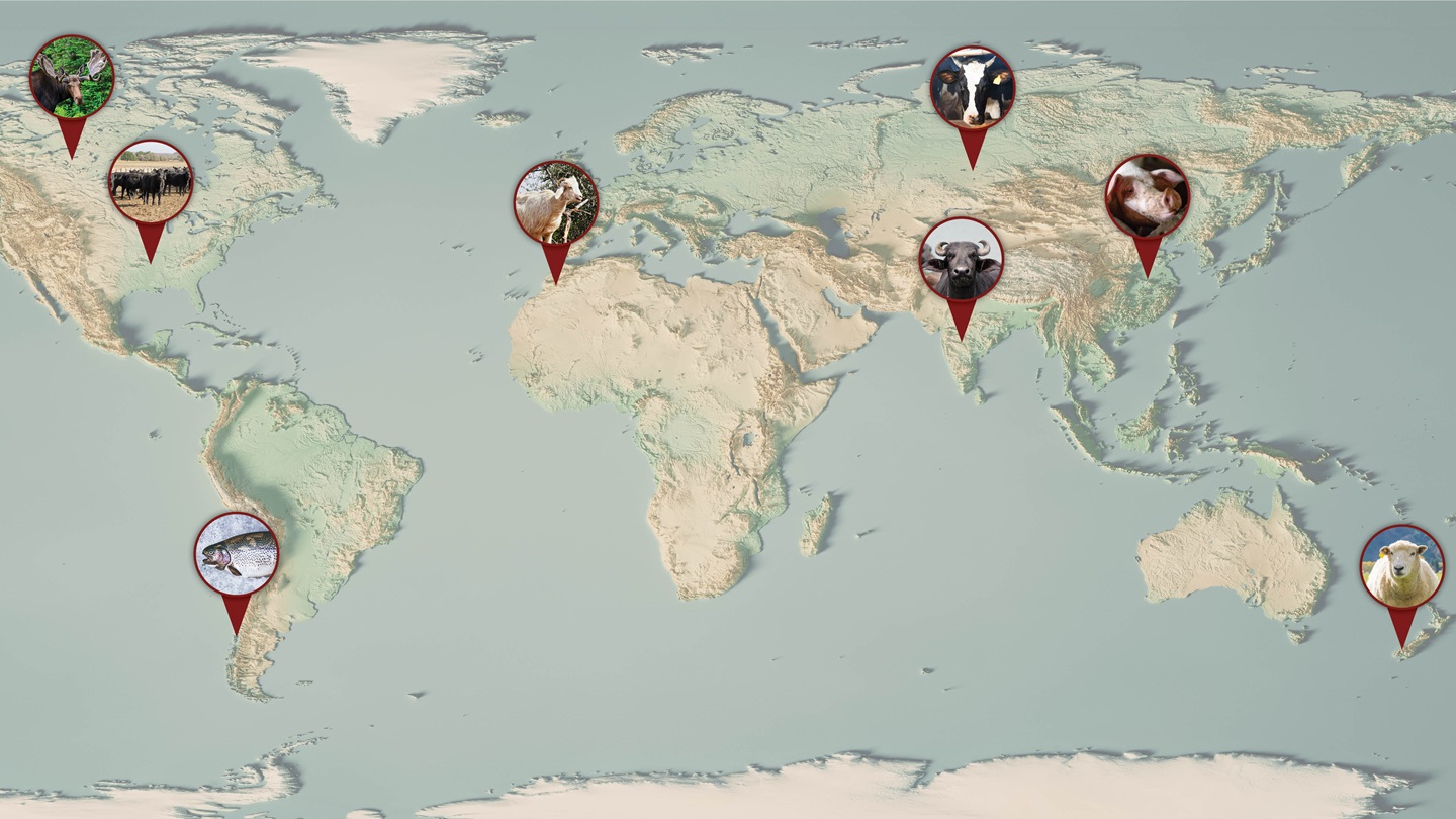 world map