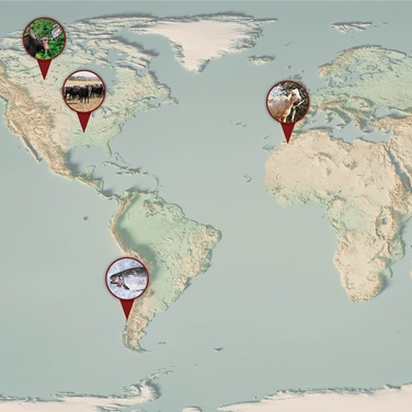 world map