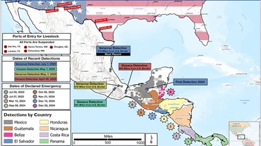 Border map