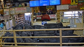 Auction barn