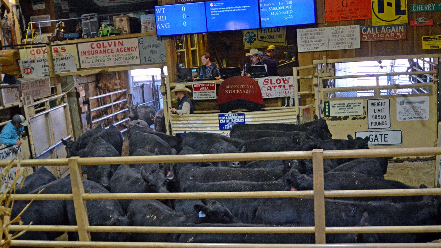 Auction barn