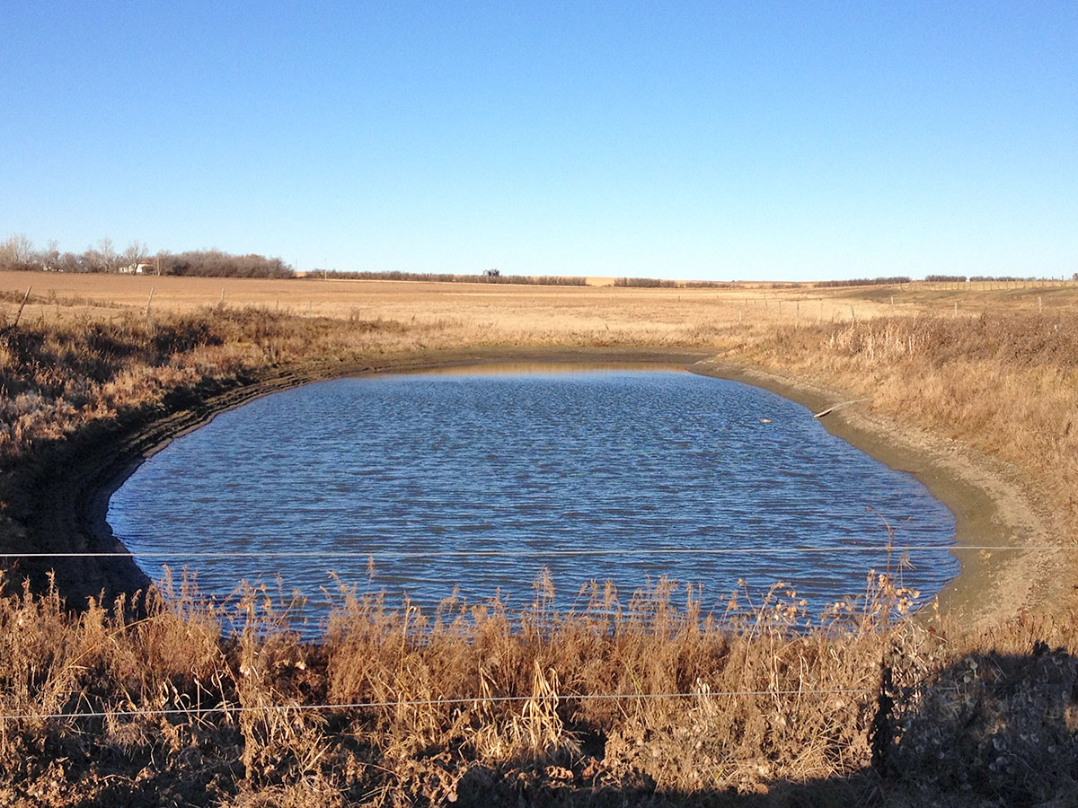 dugout pond