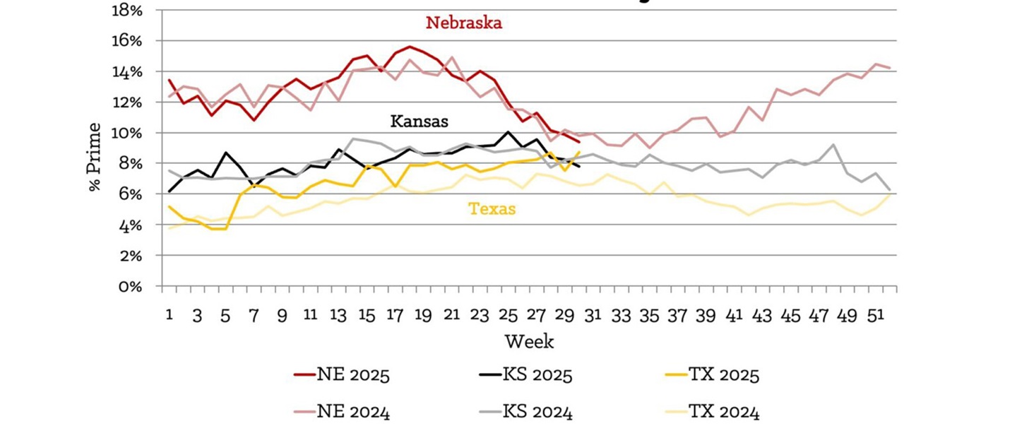 Prime by state