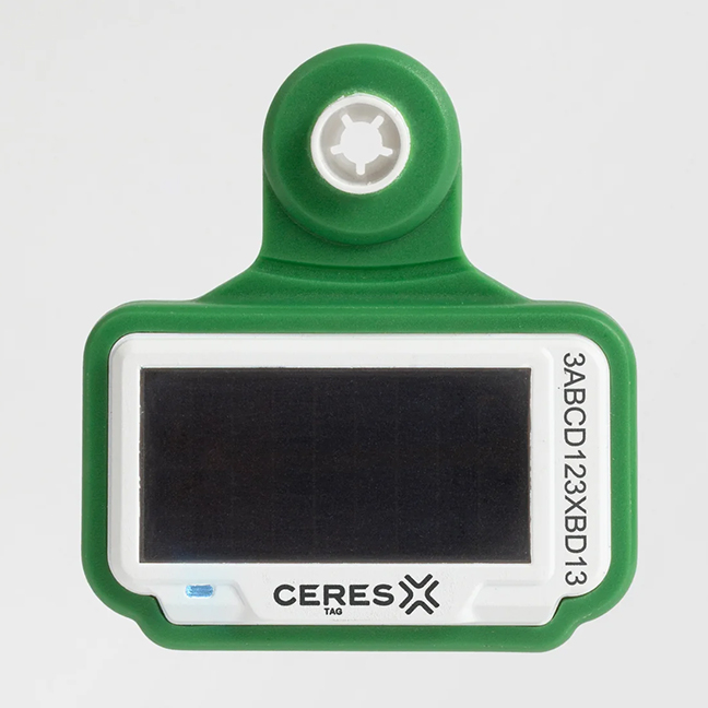Ceres Tagcontinuous monitoring ear tag