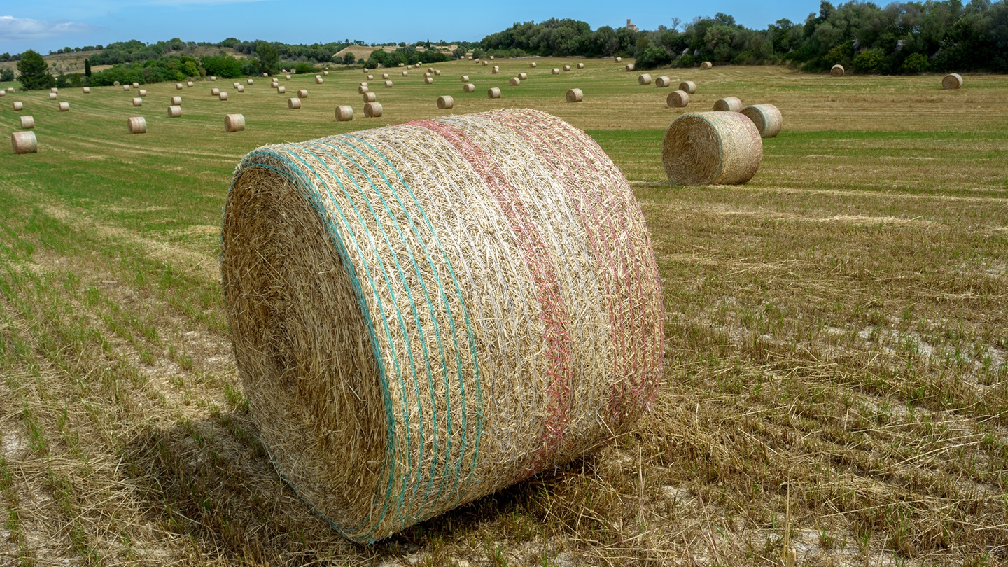 netwrap hay