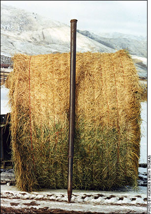 bale and post