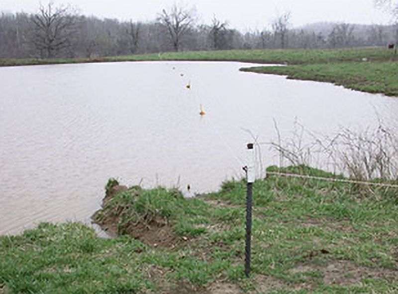 pond fencing