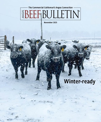 November 2025 ABB cover