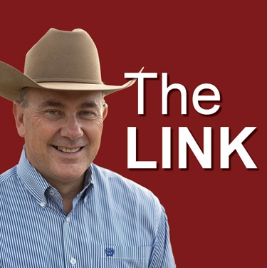 The Link