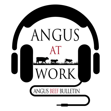 Angus At Work Podcast logo