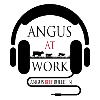 Angus At Work Color Logo