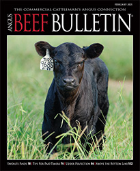 February 2021 cover calf