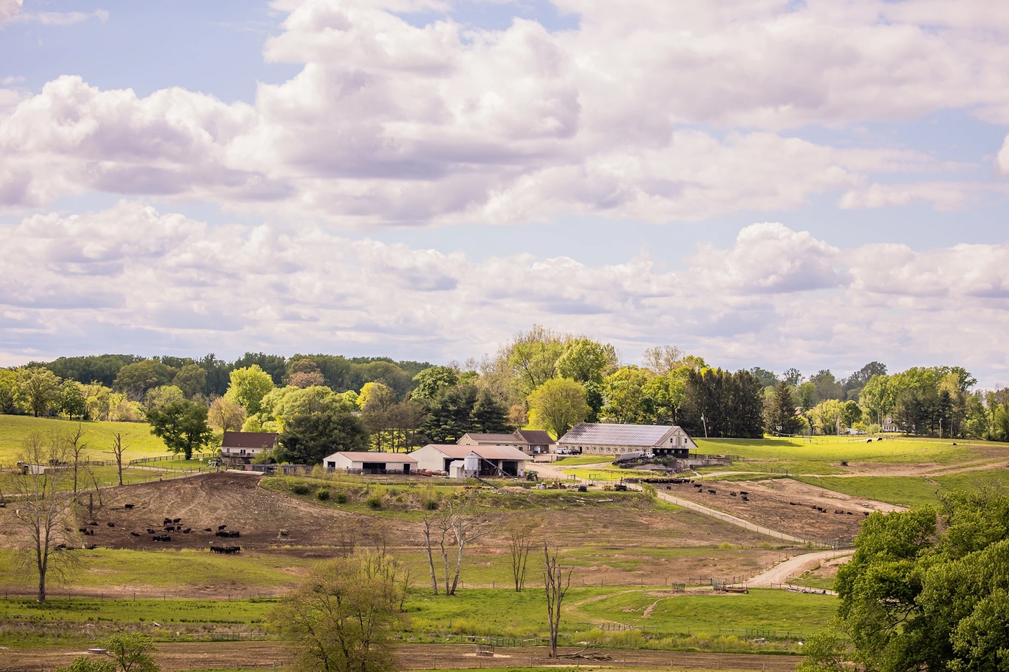 Maryland farm