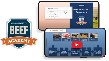 beefacademy16x9