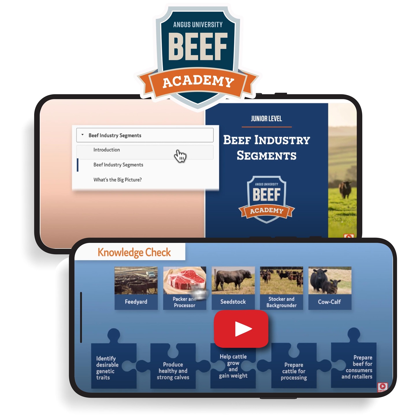 beefacademy1x1
