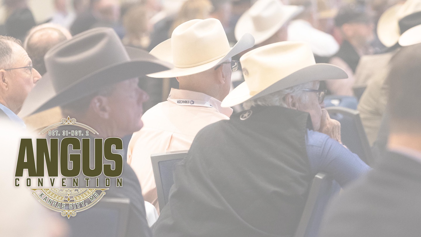 Producers listening during a session at Angus Convention.