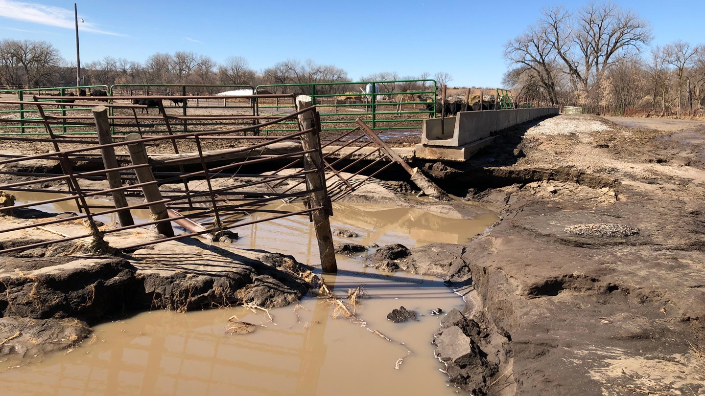 Scott-Flood-1