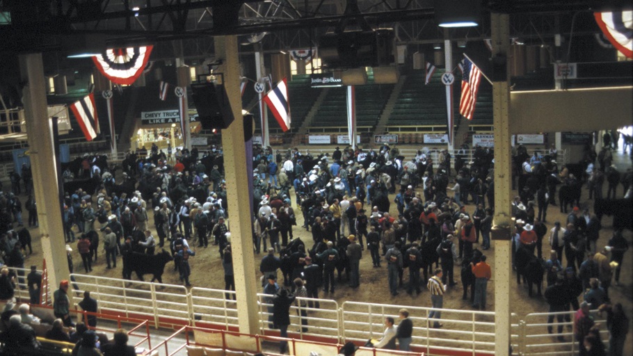 NWSS-thehill16x9