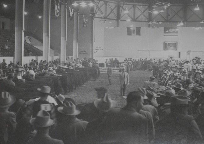 thehill-1953_denver_showring