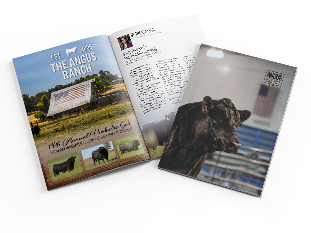 Angus Journal -salute-Mockup