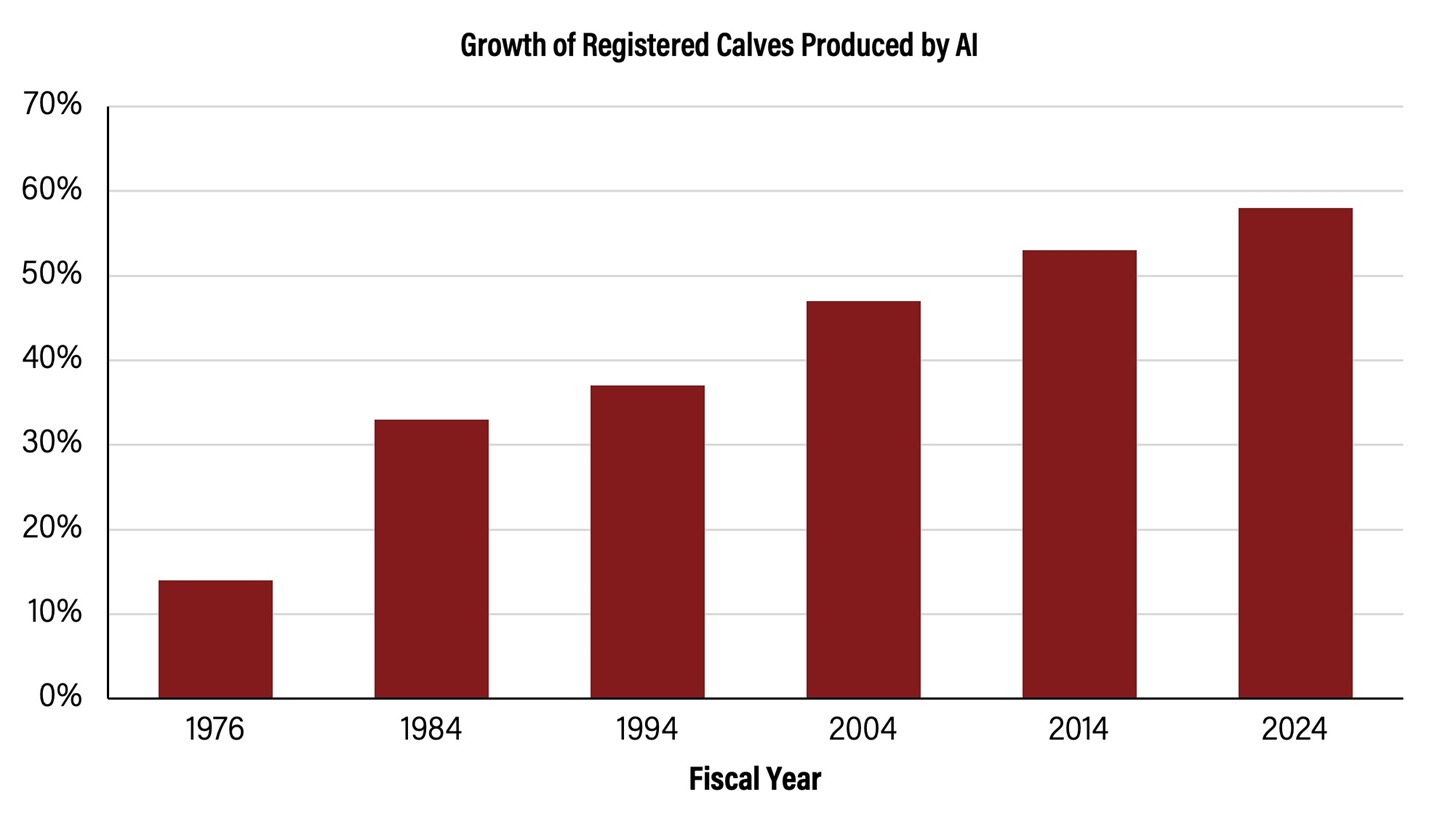Fig 1 Percentage of registered calves produced by AI during fiscal year
