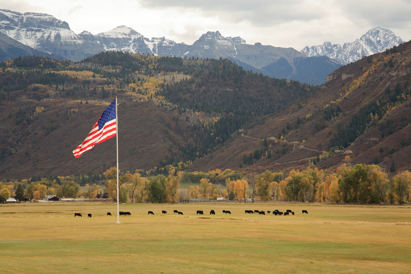 pasture picture-E