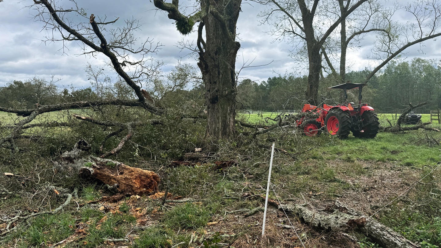 Bar-A-Ranch-damage-16x9