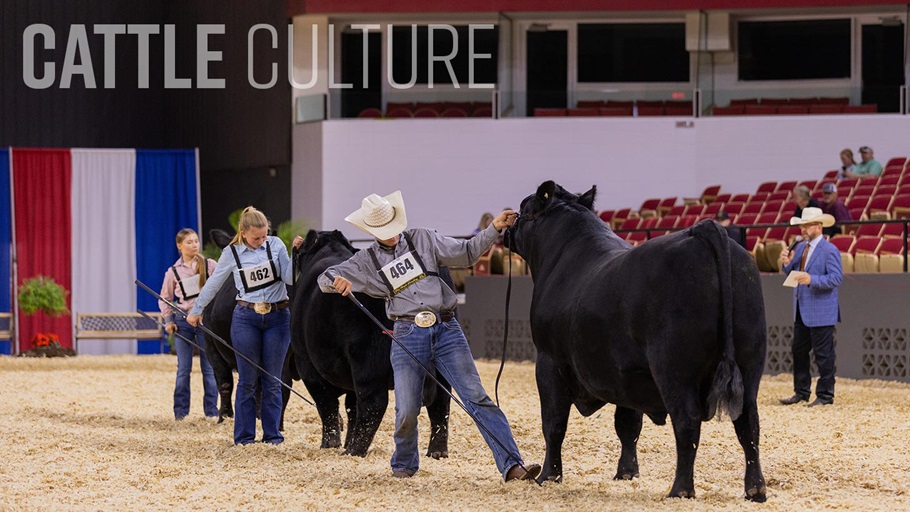 0625-cattleculture