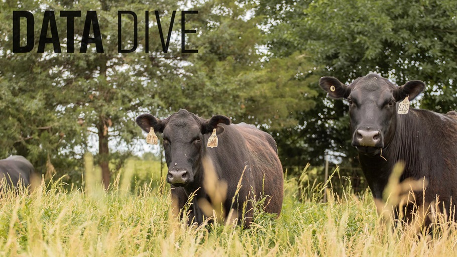 0525-data-dive16x9