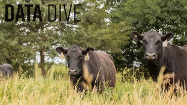 0525-data-dive16x9